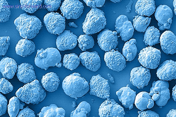 Scanning Electron Micrograph (SEM) image of a Sulzer Metco mechanically-clad composite thermal spray powder.
