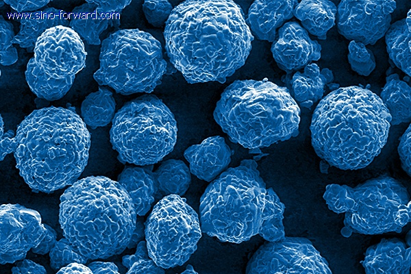 Scanning Electron Micrograph (SEM) image of an agglomerated and sintered carbide material for thermal spray.